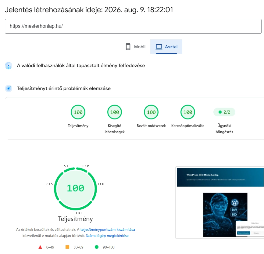 Google PageSpeed Insights – 100 pontos mobil referenciaeredmény